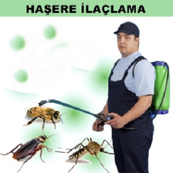Pülümür Böcek İlaçlama